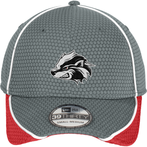 Allegheny Badgers New Era Hex Mesh Cap